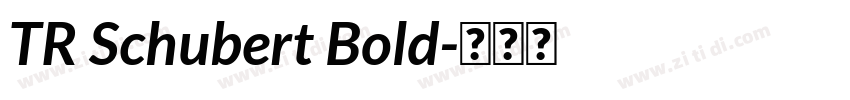 TR Schubert Bold字体转换